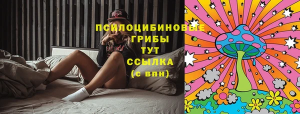 твердый Алексеевка