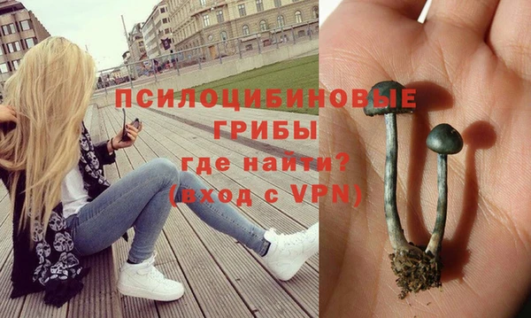 прущие грибы Алексин