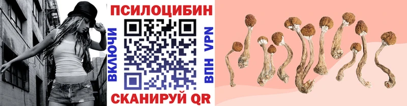 Псилоцибиновые грибы Cubensis Нижний Тагил